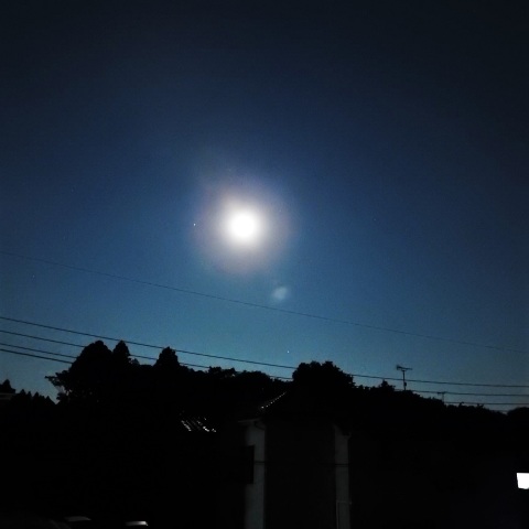 月と土星が接近