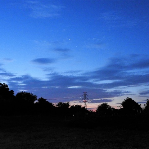 金星とアルデバランが接近