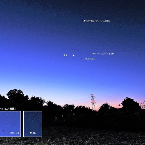 金星とアルデバランが接近