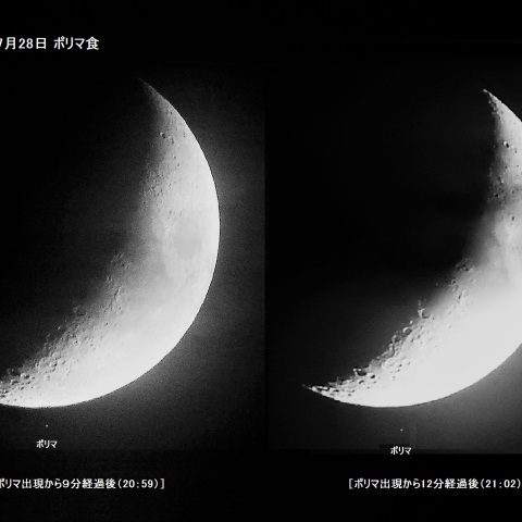2017年7月28日のポリマ食