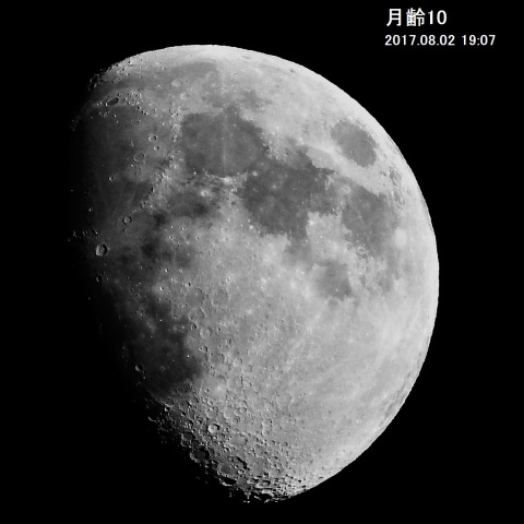月齢10の月