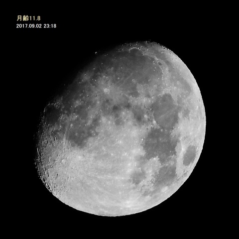 月（月齢11.8）