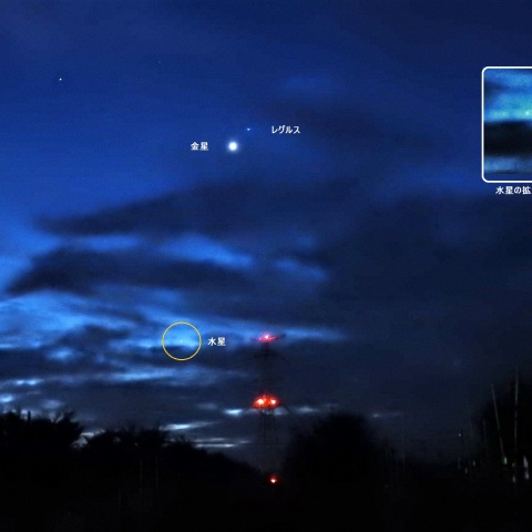 金星とレグルスが接近