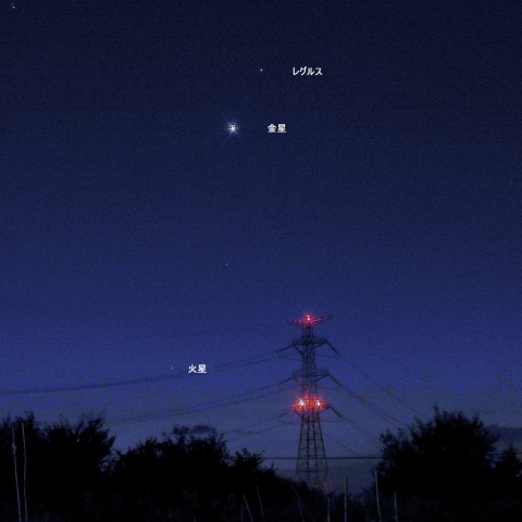 金星とレグルス・火星