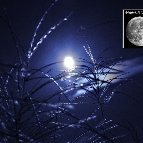 中秋の名月ー2