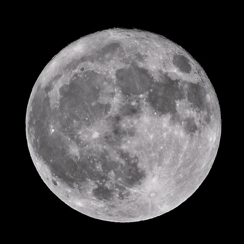 満月（月齢15.7）