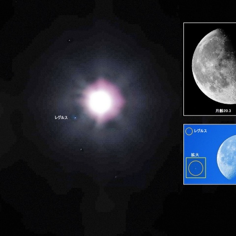 月とレグルスが大接近
