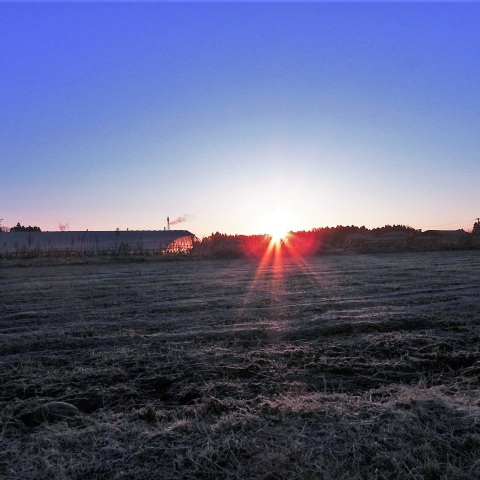 2018年の初日の出－2