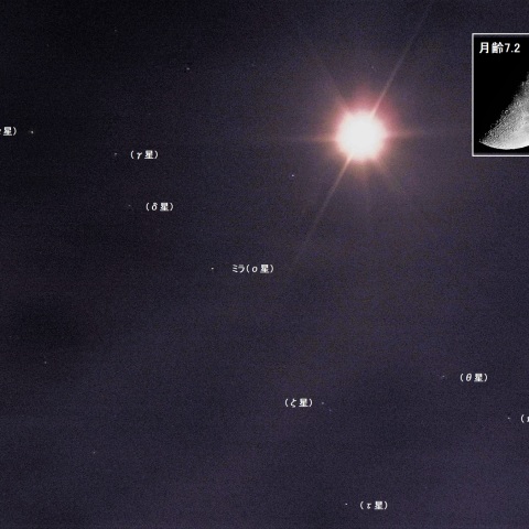 月とミラ（くじら座）が接近