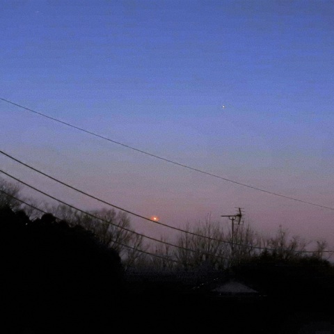 夕暮れの水星と金星―2