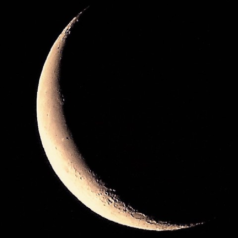 明け方に昇る三日月