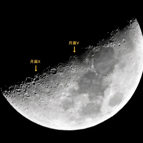 月面V／X
