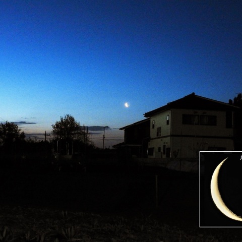 明け方の昇る細い三日月