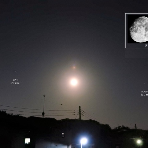 4月下旬の星景―1