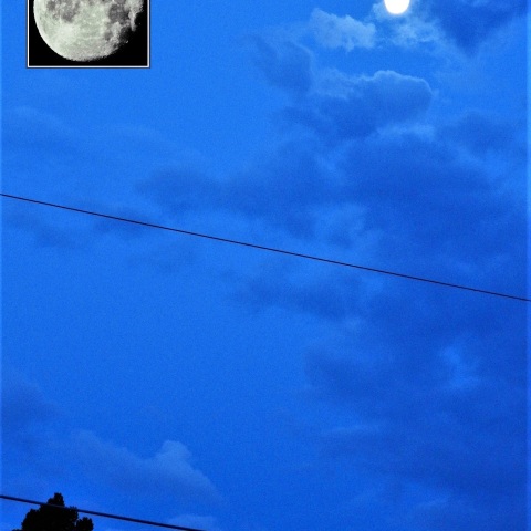 明け方の月と土星が接近