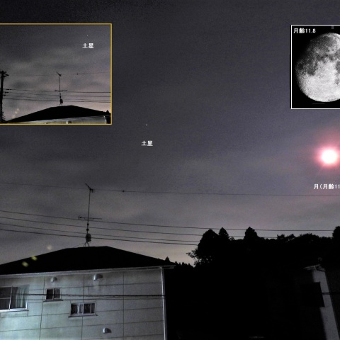 月、土星、火星が横一列に並ぶ