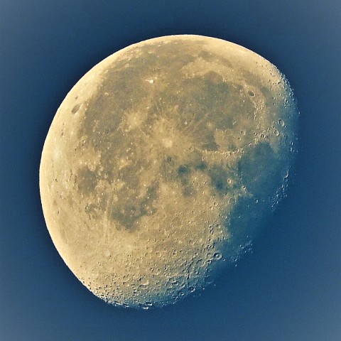 朝日に照らされた月