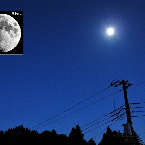 月と土星が大接近―1