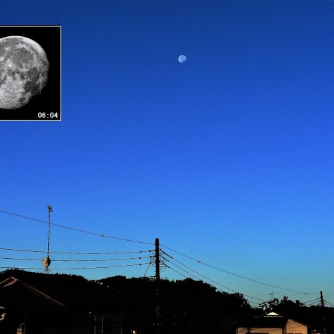 朝の月（モーニングムーン）