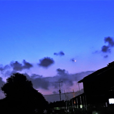 明けの明星「金星」