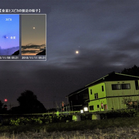 金星とスピカが接近