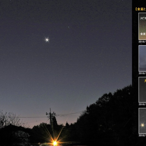 明け方の金星とスピカ