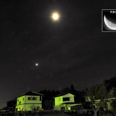 最大光輝の金星－1