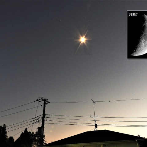 月と火星が近づく