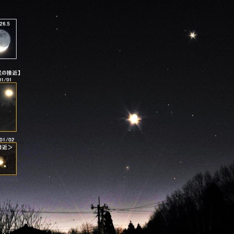 月と金星の観察