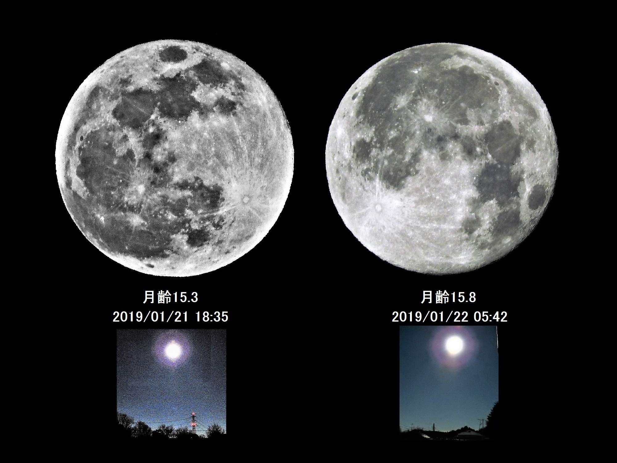 #53176: 2019年の最初の満月 by エッチャン - 天体写真ギャラリー