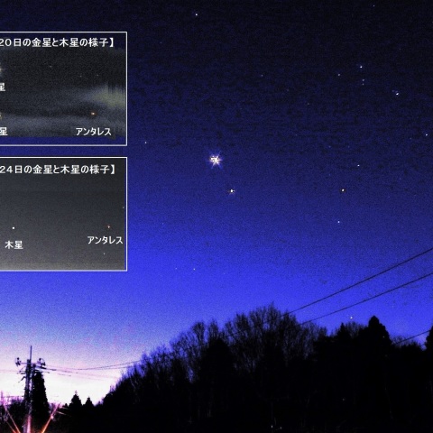 金星と木星が接近