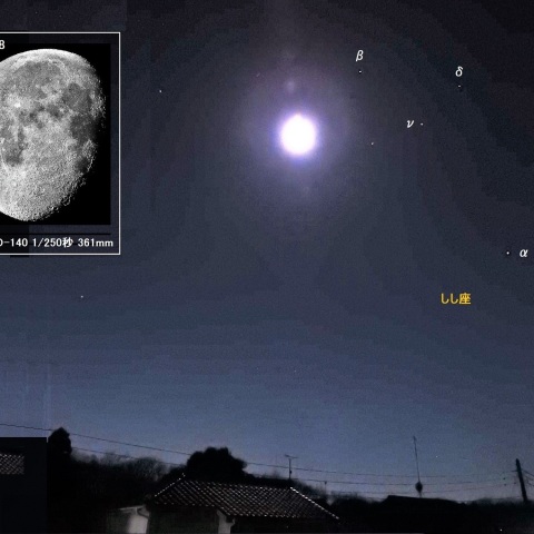 明け方の月、しし座