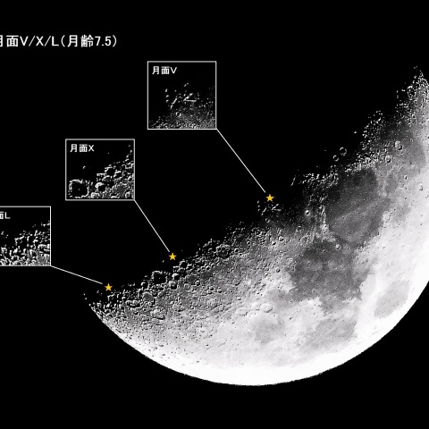 月面V／X／L