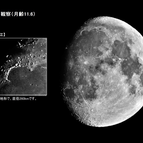 月面観察（月齢11.6）