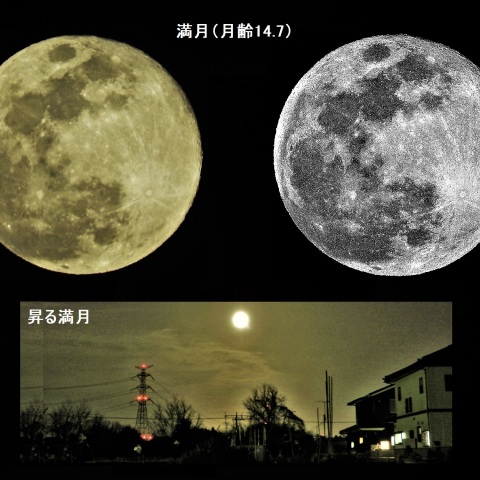 春分の日の満月