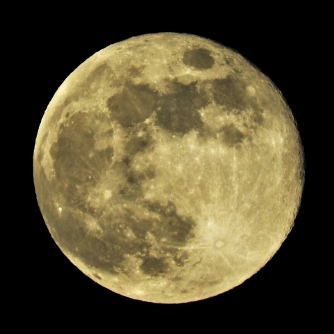 令和元年最初の満月―2