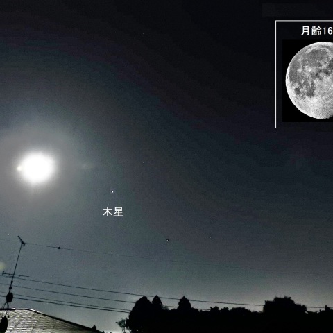 月と木星が並ぶ