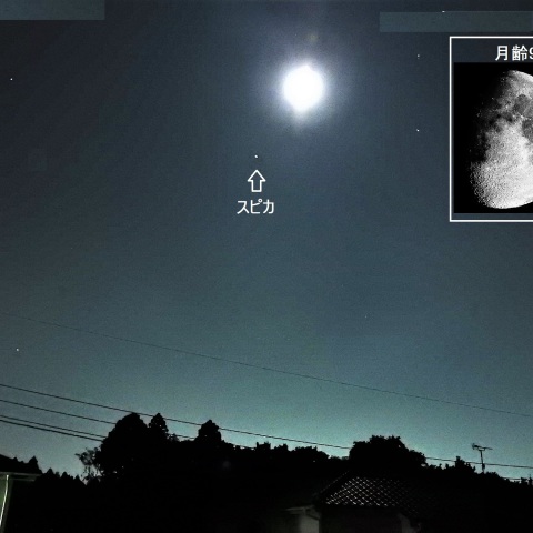 月とスピカが近づく
