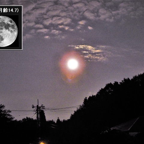 梅雨空の昇る満月