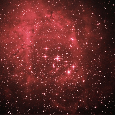 ばら星雲（いっかくじゅう座 散光星雲）