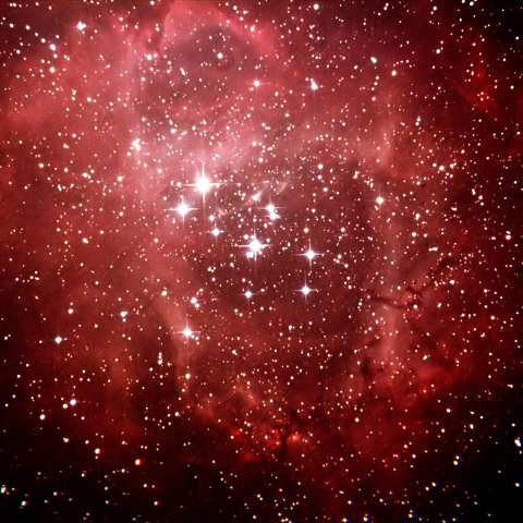 ばら星雲（NGC2237）