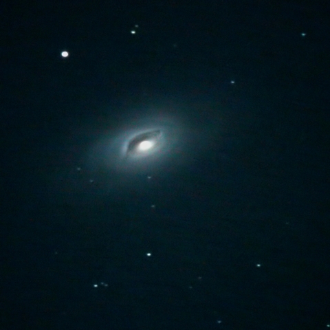 黒眼銀河 (M64, NGC 4826)