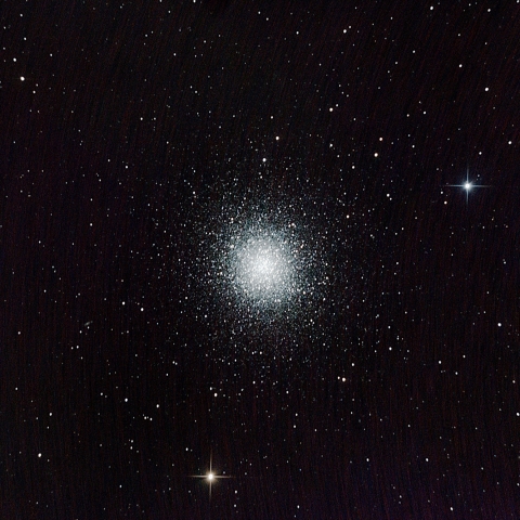 M13