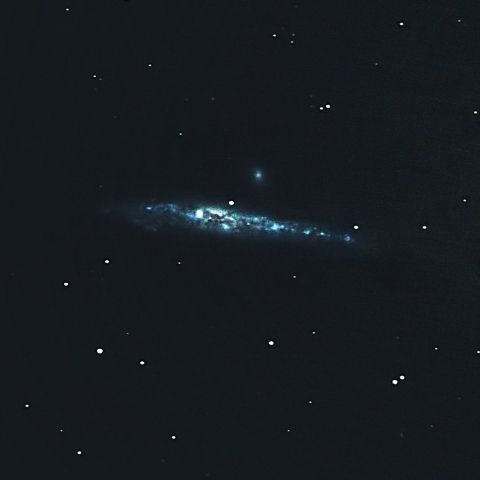 NGC4631 クジラ銀河