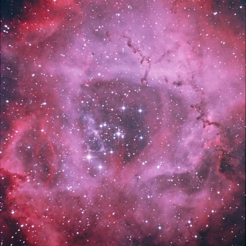 NGC2237  薔薇星雲