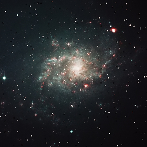 M33