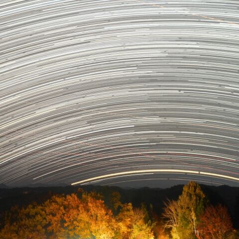 カノープス 出~没