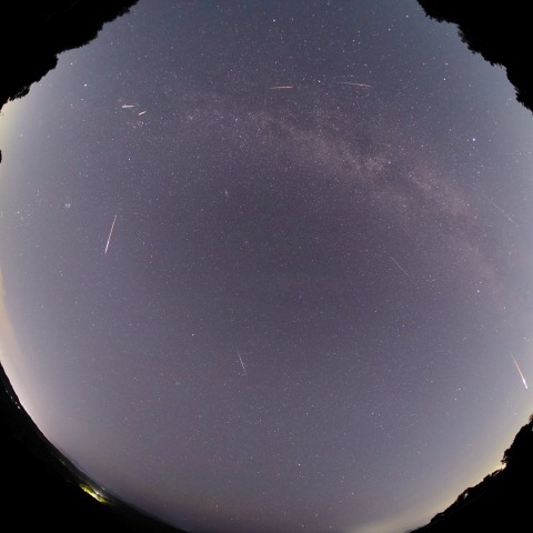 ペルセウス座流星群2026 8/14