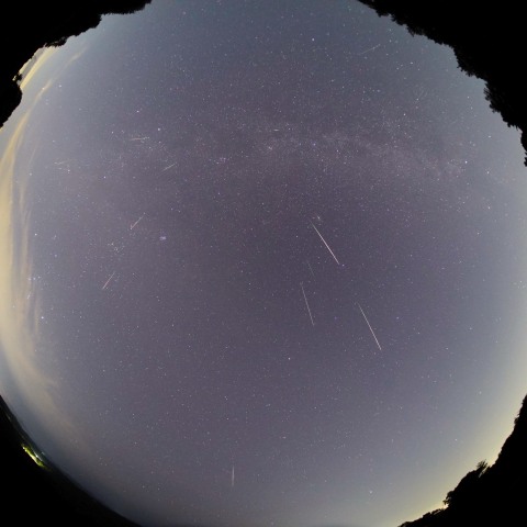 ペルセウス座流星群2026 8/14