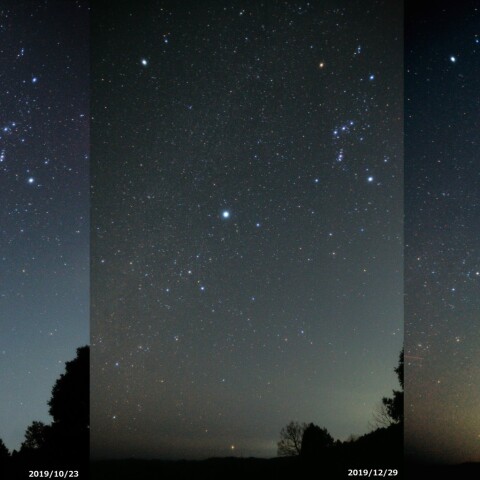 ベテルギウスの減光